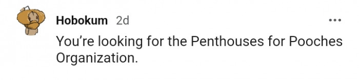 11. The penthouses for pooches organization