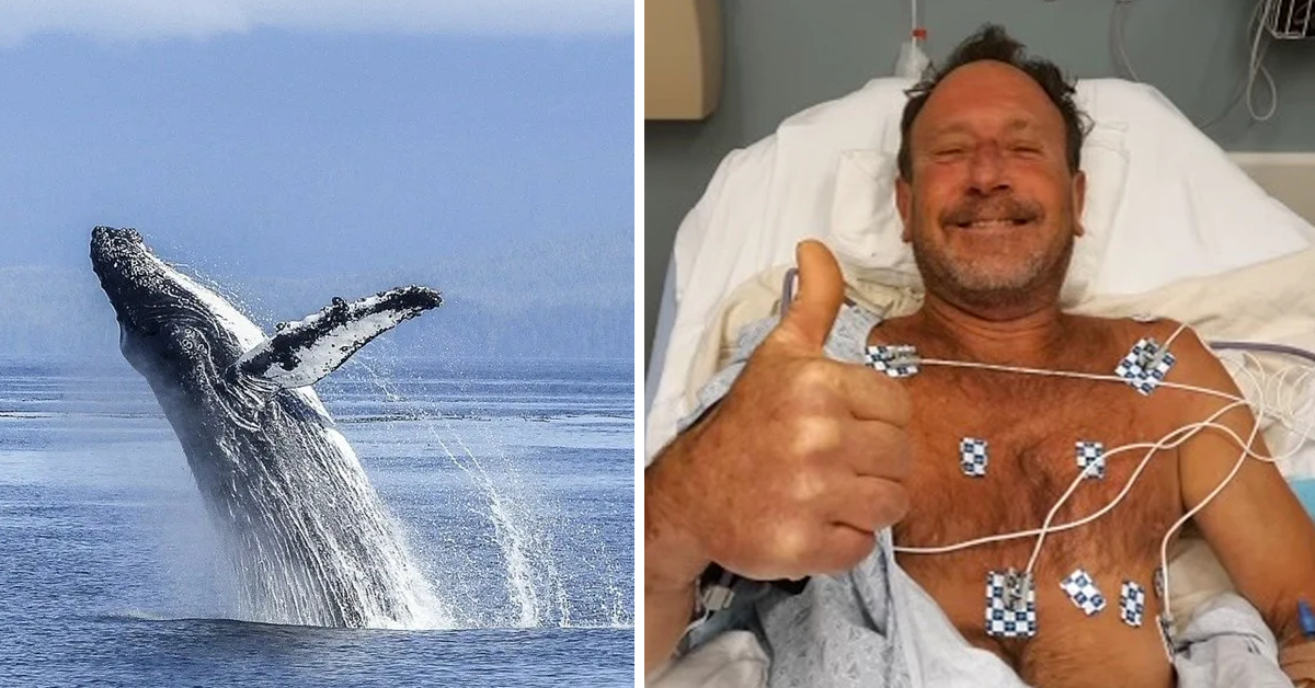 Miraculous Escape: The Man Who Survived Being Swallowed By A Whale