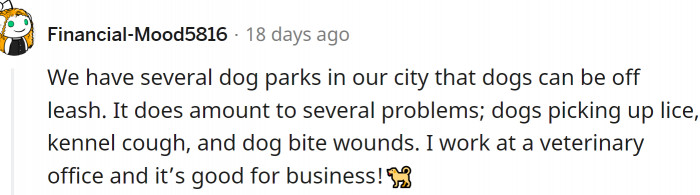 Dog behavior discussion scene, people debating leash rules and safety concerns