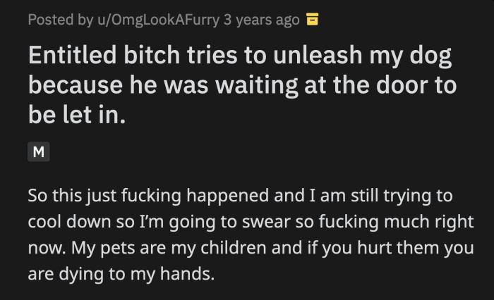 The woman dropped Meatball. She said he was her dog now because she found him unsupervised waiting by the door which, apparently, meant he was neglected by his owners.