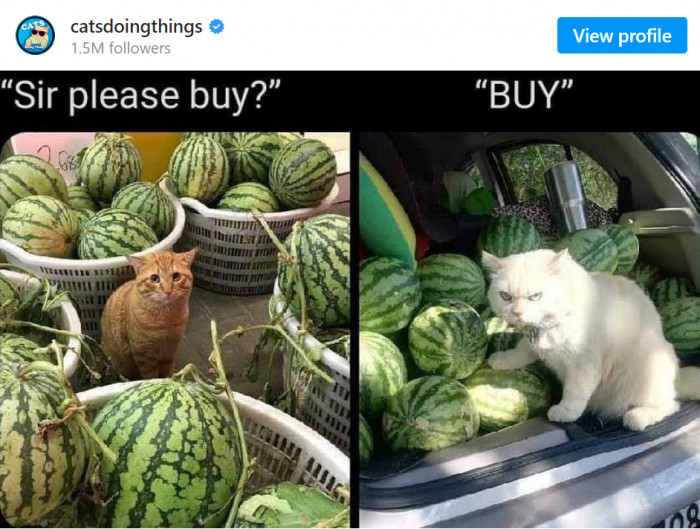 1. You'll end up buying them all.