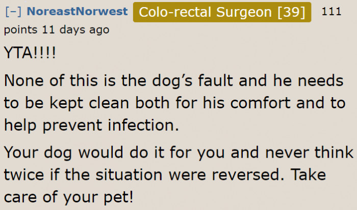 The community insists that she needs to take care of the poor dog.