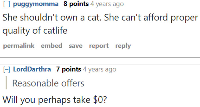 People who want pets need to provide a quality life for the pet.