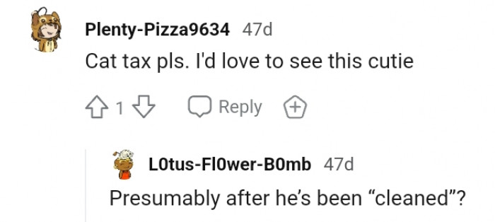 13. This Redditor is solely interested in cat tax