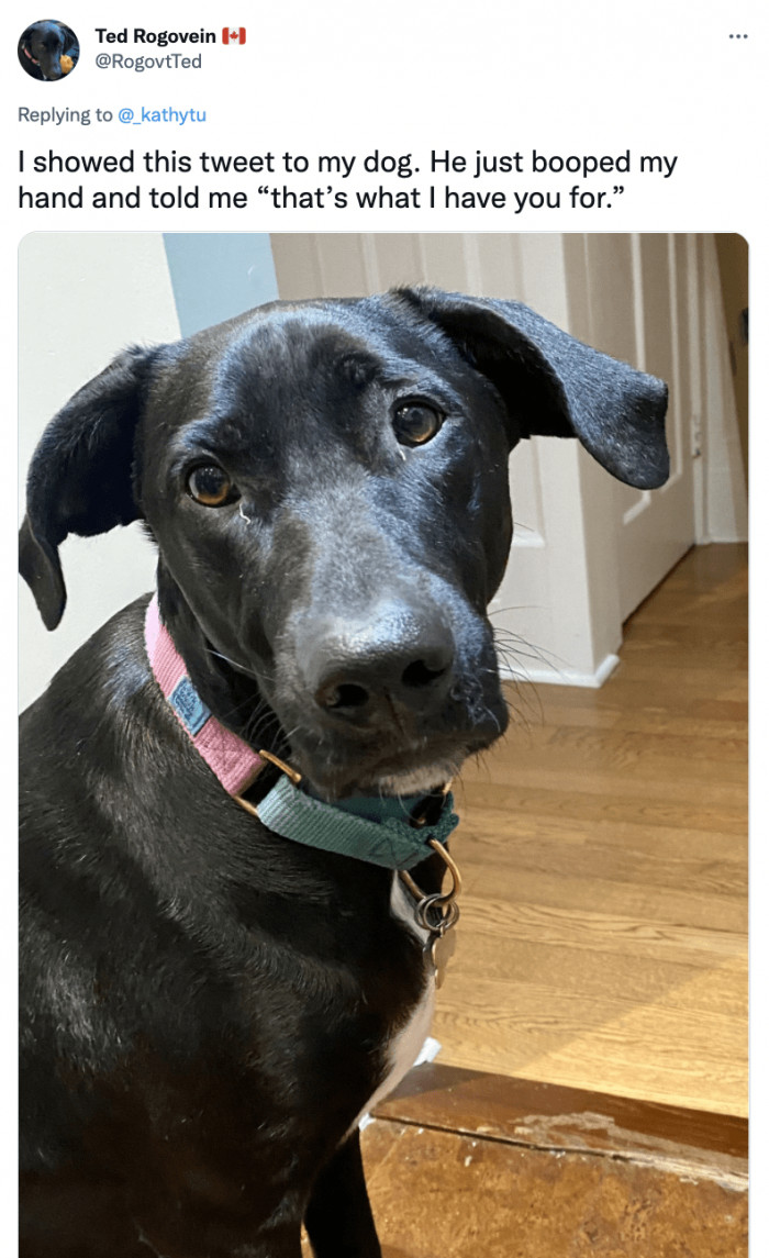 That's What I Have for You