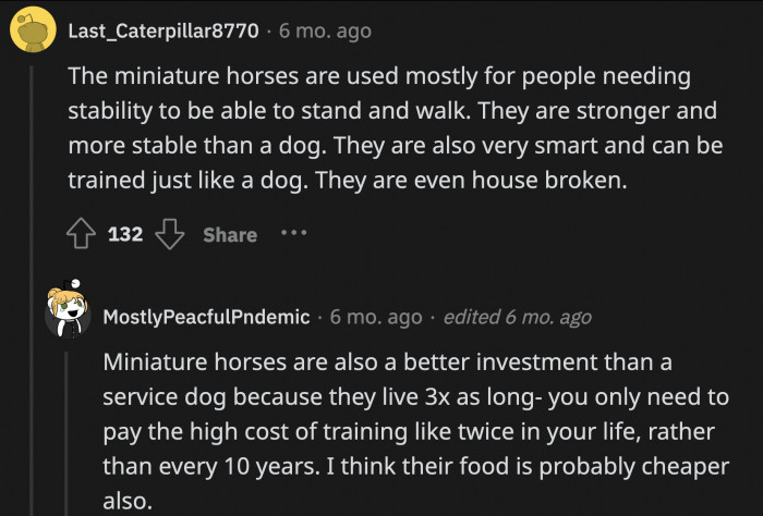 Apparently miniature horses (Li'l Sebastian!) are really good service animals