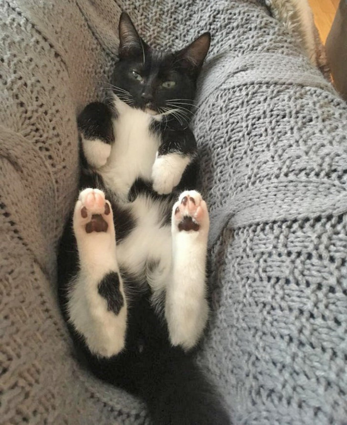 10. "I'm sleeping in between your legs today. What will you do about it?"