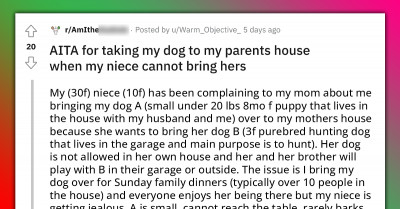 Woman's Niece Is Mad That She Can't Bring Hunting Dog To Family Dinners, But Her Aunt Can Bring A Puppy