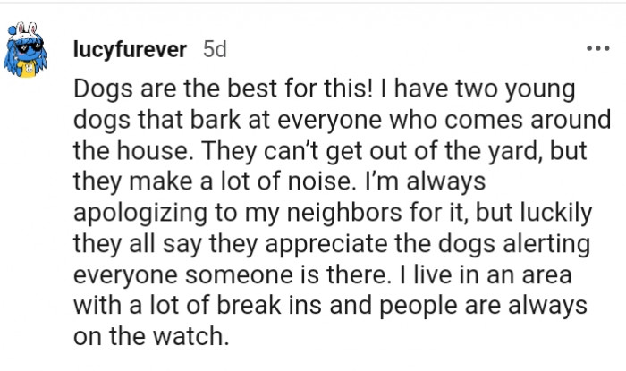 3. This Redditor lives in an area with a lot of break-ins