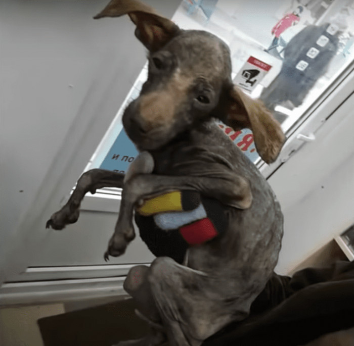 Even More Difficulties