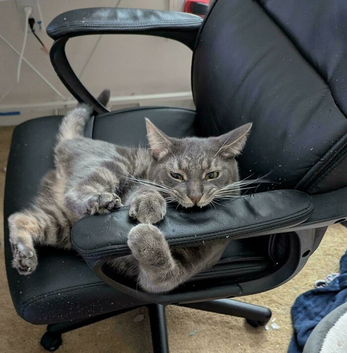 "Will Not Give Chair Back"