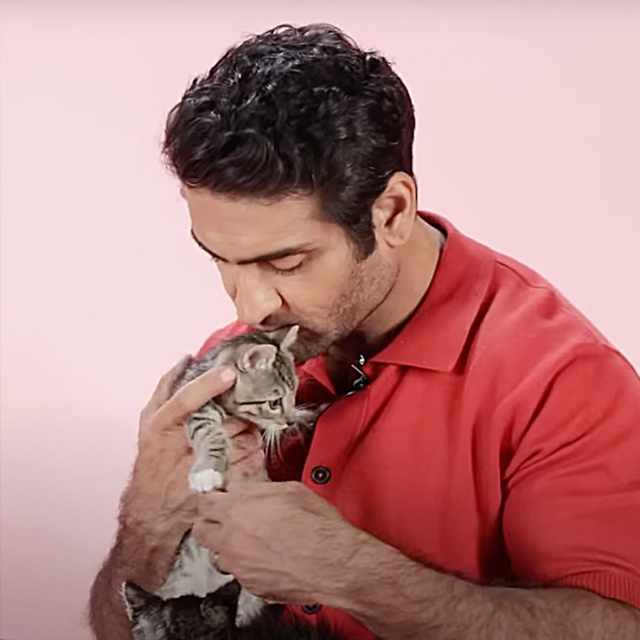 “It’s got no kittens, but no show is perfect.”