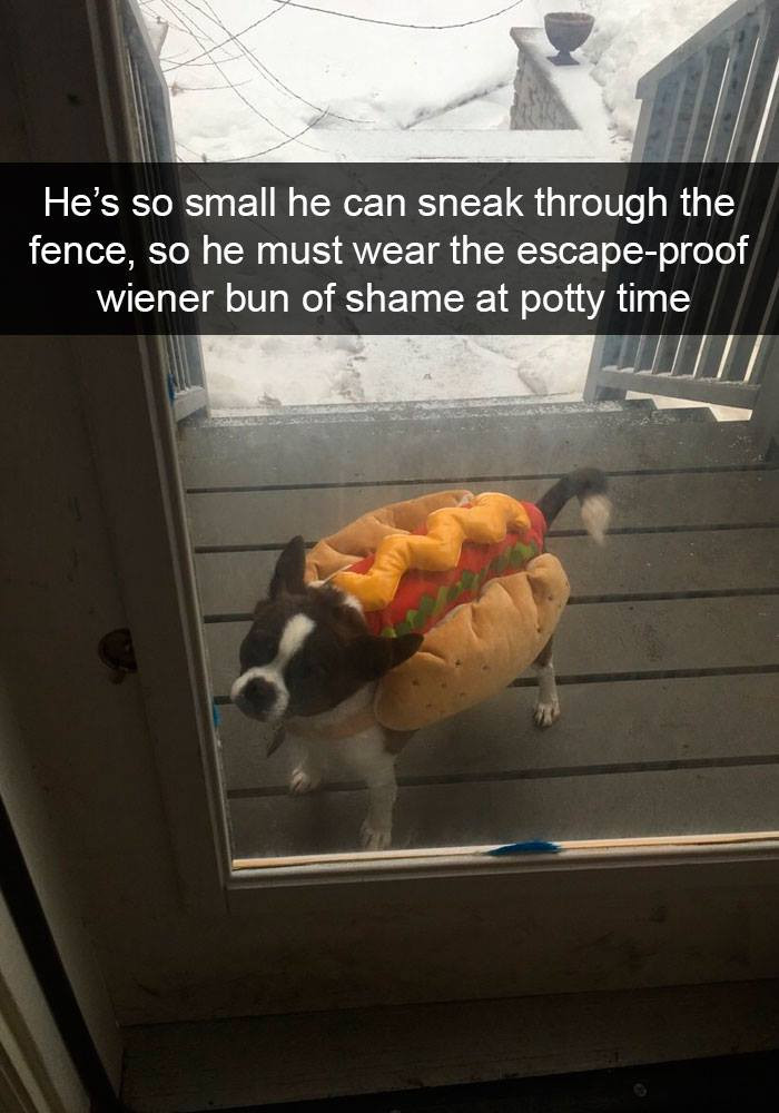 42. The escape proof wiener bun of shame