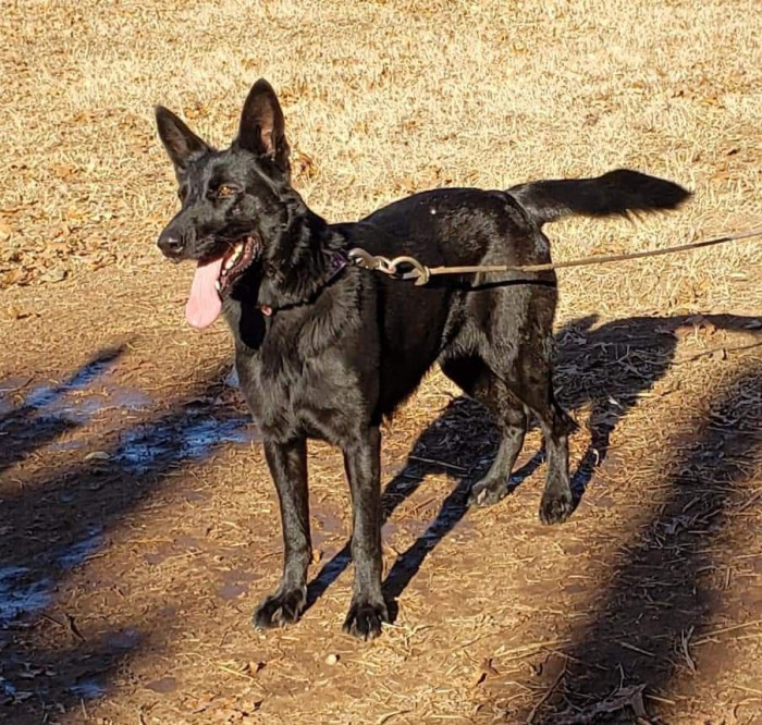 ... and Maybel who can't sleep without chewing on her stuffed toy