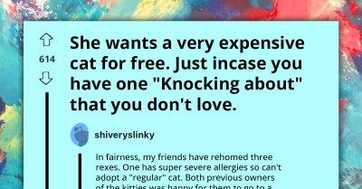 Choosing Beggar Demands Expensive Cat For Free, Shocking Redditors