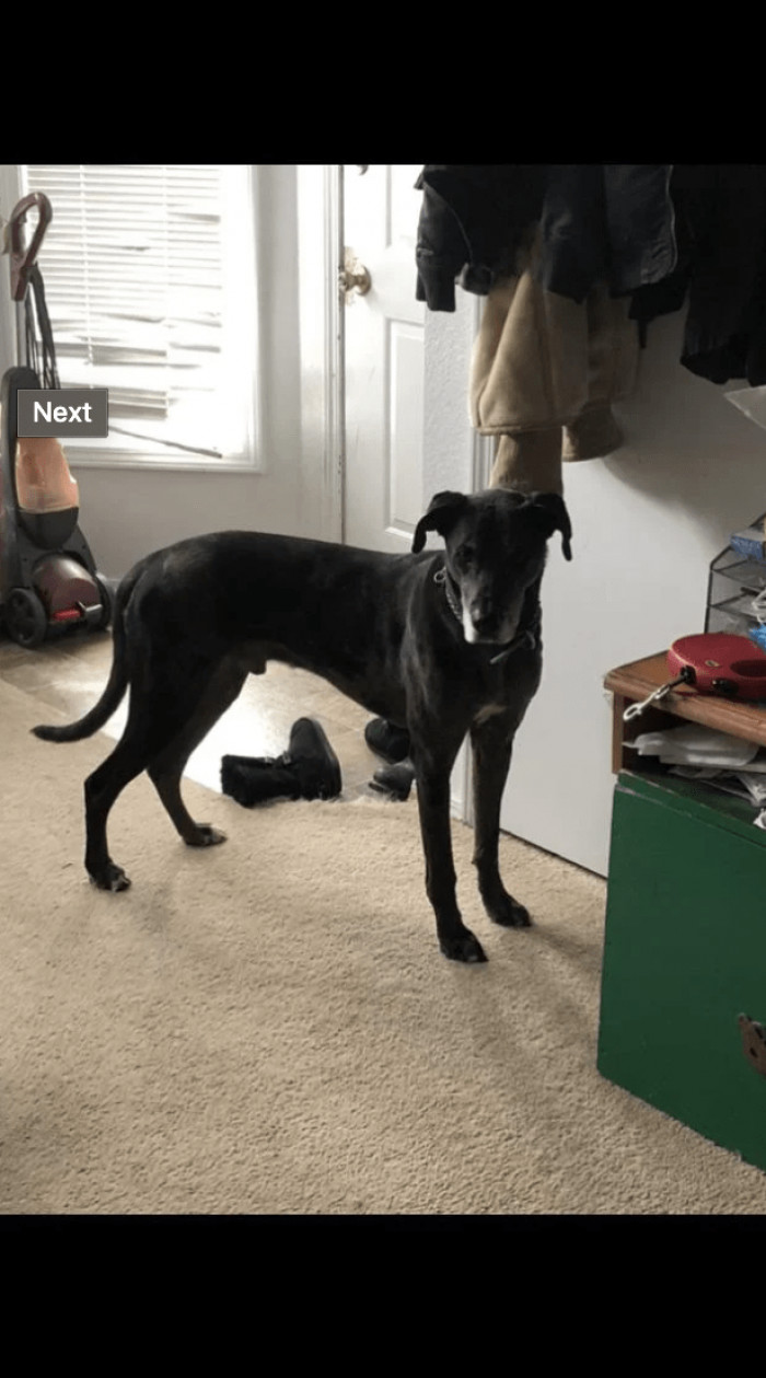 And Clad is a good boy