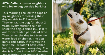 Redditor Reports Their Neighbors to the Cops for Leaving Their Shiba Inu Freezing in the Cold