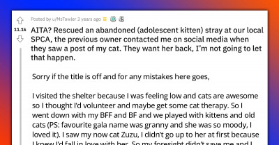 Original Owner Wants Her Cat Back After Redditor Adopts Her From Shelter