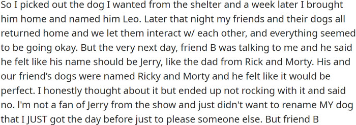 After eight or nine months, OP decided to adopt a dog from a shelter to have more structure in his life because he missed the companionship of a dog.