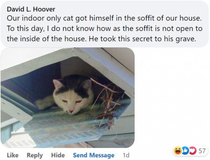 3. A case of climbing expertise