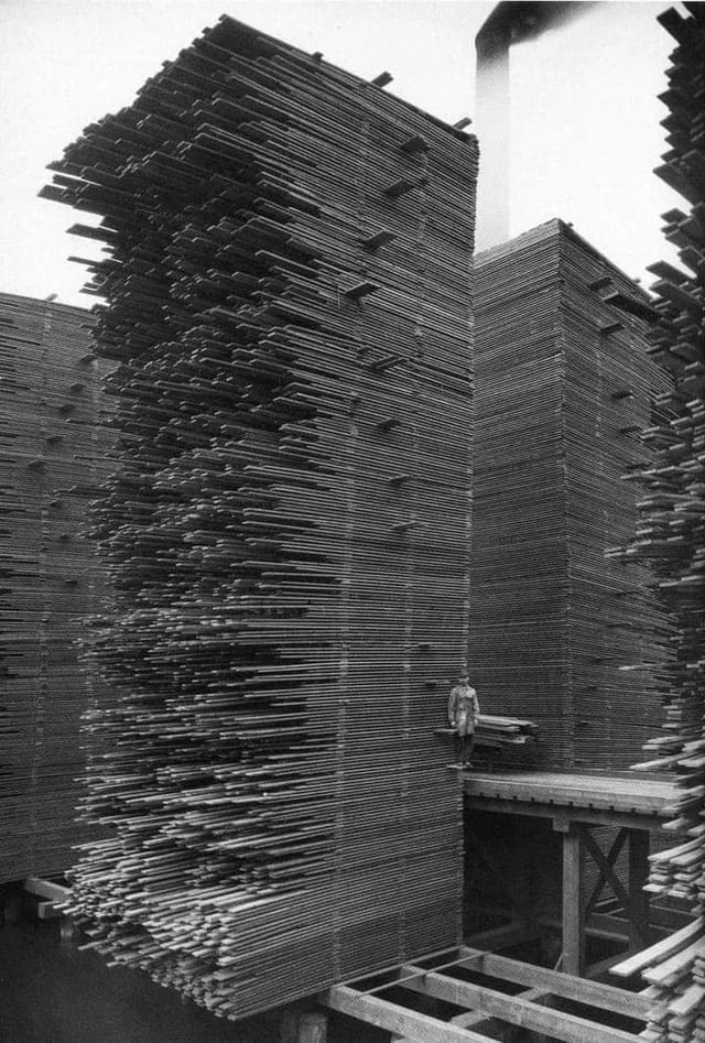 5. 1919; Seattle, Washington. Stacks of lumber drying at the Seattle Cedar Lumber Manufacturing Company’s mill in Ballard.