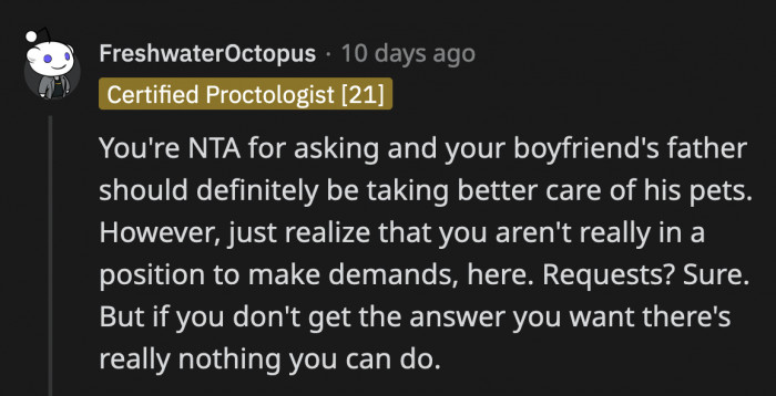 Her BF's dad is definitely neglecting those poor turtles and they all deserve better