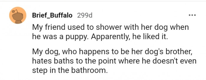 20. A Tale of Two Dogs