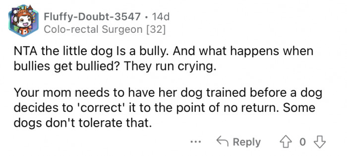 "The little dog is a bully."