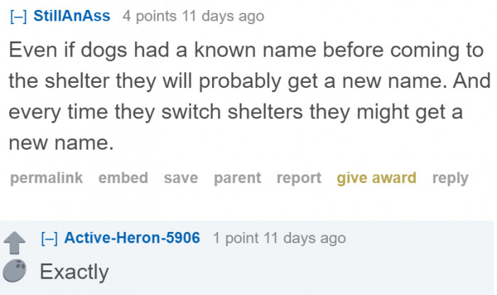There's nothing wrong with changing a dog's name.