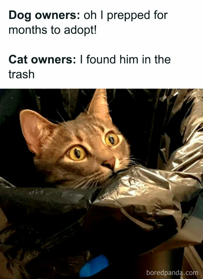 34. Literally