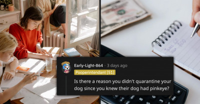 Elderly Dog Gets Pink Eye After Their Owner's Roommates Lied About Their Puppy's Condition And Didn't Quarantine It