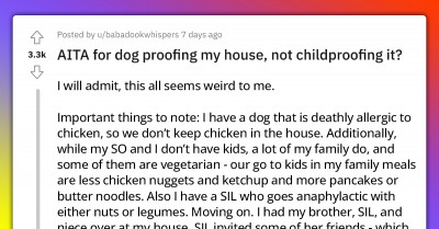 Child-Free Woman Asks If She's An A**Hole For Dog Proofing Her House Instead Of Child Proofing It