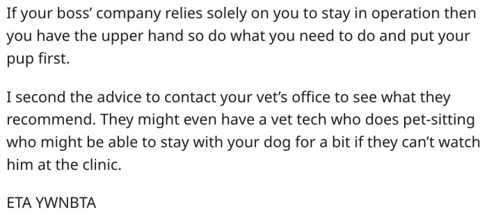 10. She should contact her vet for an alternative solution.