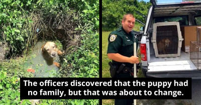 Hero Cop Rescues Drowning Pup, Then Warms Hearts By Welcoming The Survivor Into His Family