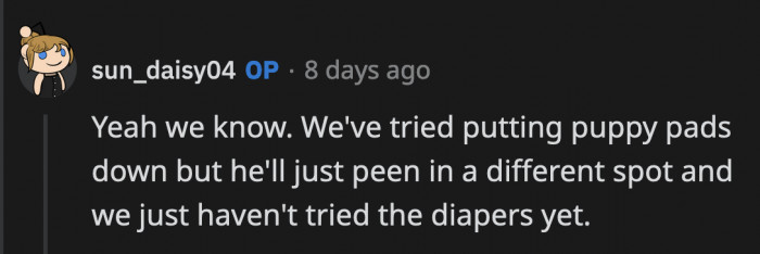 OP said they tried puppy pads, but they didn't work; their next option is to try diapers.