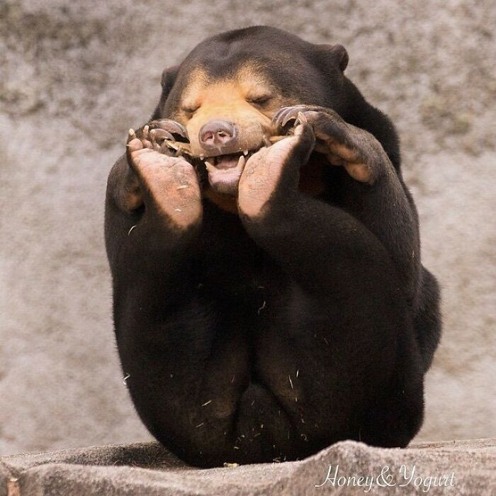 39. Someone's in a happy mood