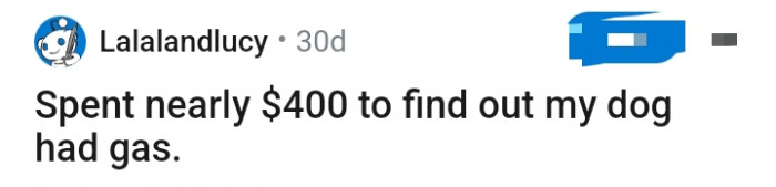 This Redditor spent hundreds of dollars just to discover that the dog only had gas