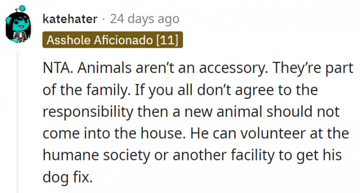 13. The husband can continue volunteering to get his dog fix instead of tearing up his family the way he's doing