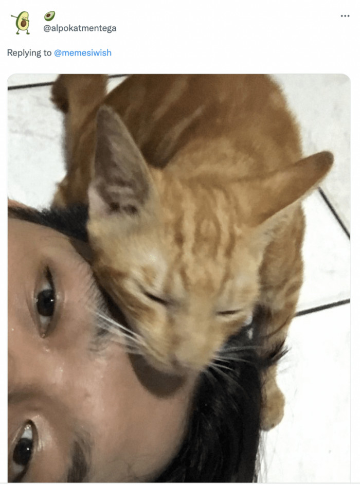 4. Here's another selfie bomb