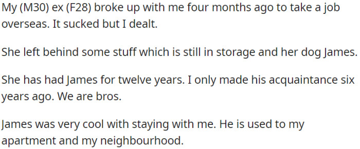 The ex-partner of OP ended their relationship and left behind her belongings and a 12-year-old dog for OP to take care of