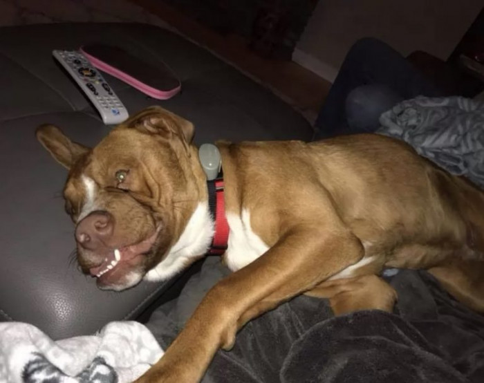 Woody is left with a crooked, lopsided face