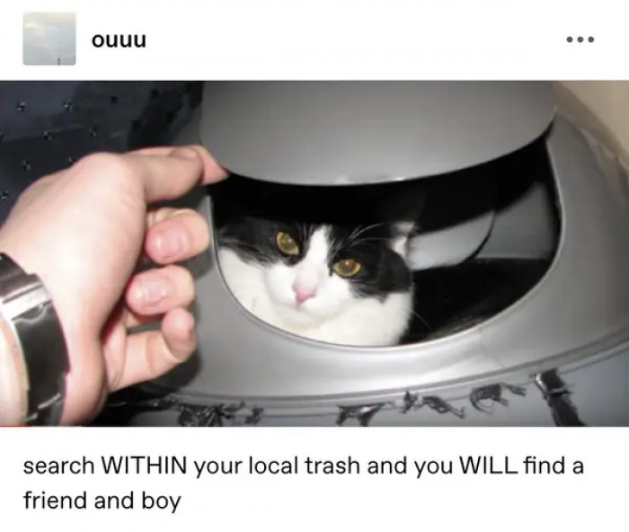 12. Who's ready for some unveiling? You never know what you may find