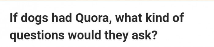 Dog-themed Quora-style questions, humorous “Who is a good boy” prompts