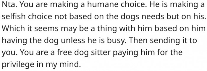 Her ex is not considering what's best for the dog.