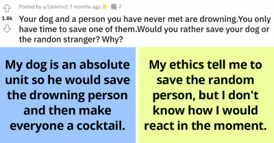 Redditor Makes People Choose Between A Dog And A Stranger To Save From Drowning, And It All Got Us Thinking