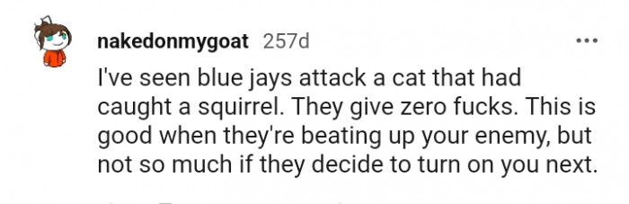 It's good when they're beating up your enemy