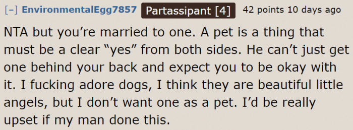 A Redditor understands the original poster's point.