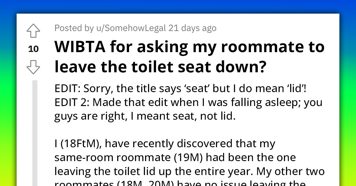 Redditor Wants To Know If They'll Be An AH If They Ask Roommate To Leave The Toilet Seat Down