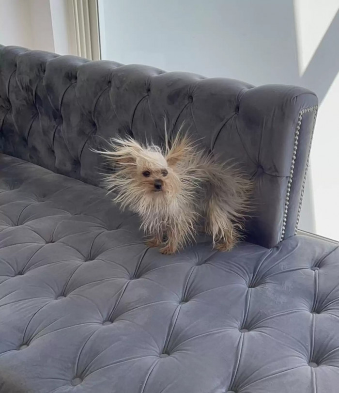 Catarina has the ability to brighten people’s day, simply by being her electro-charged self