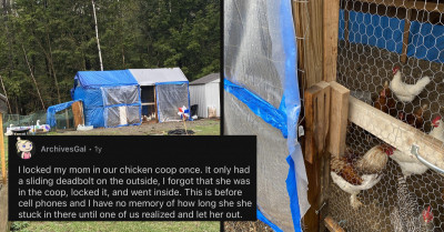Redditor Shares Live Updates While Stuck In A Chicken Coop On A Rainy And Muddy Day